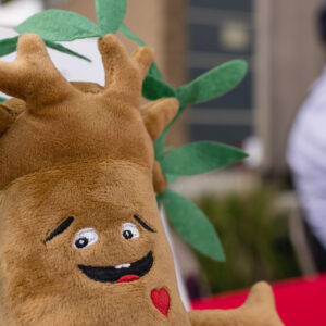 A Soft Toy of a Tree With a Red Color Heart